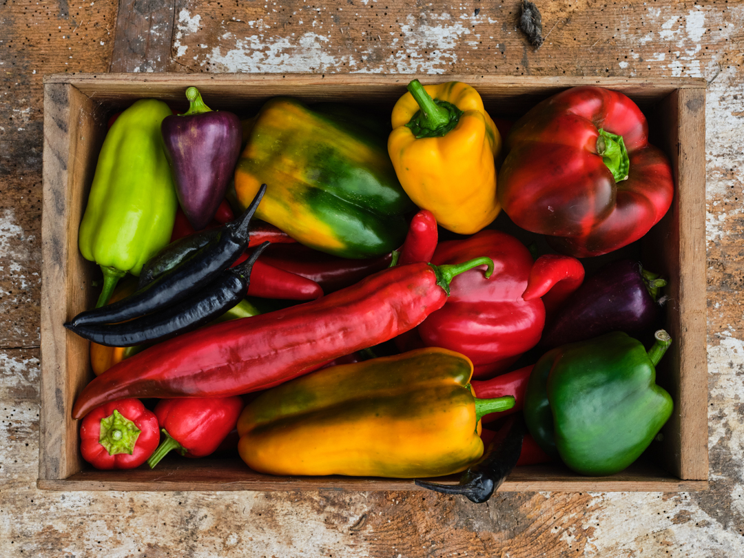Objevujte zajímavosti ze světa zeleniny: paprika