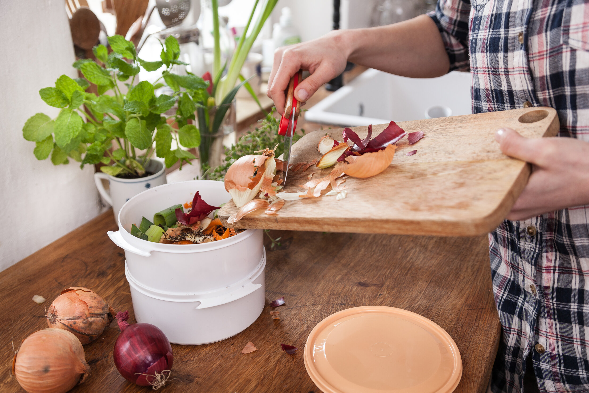 Vyrobte si praktický vermikompostér na bioodpad