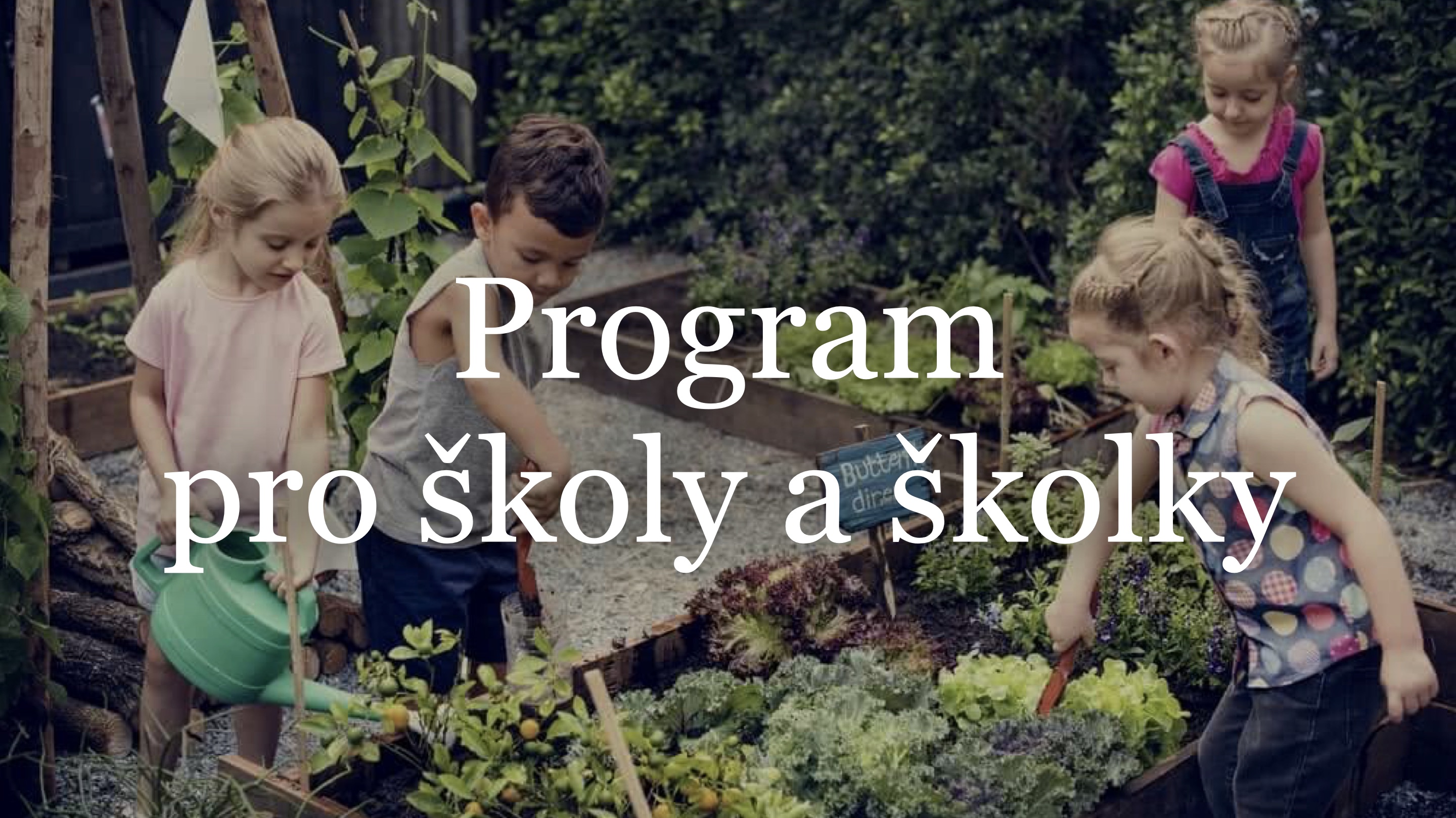 Program pro školy a školky