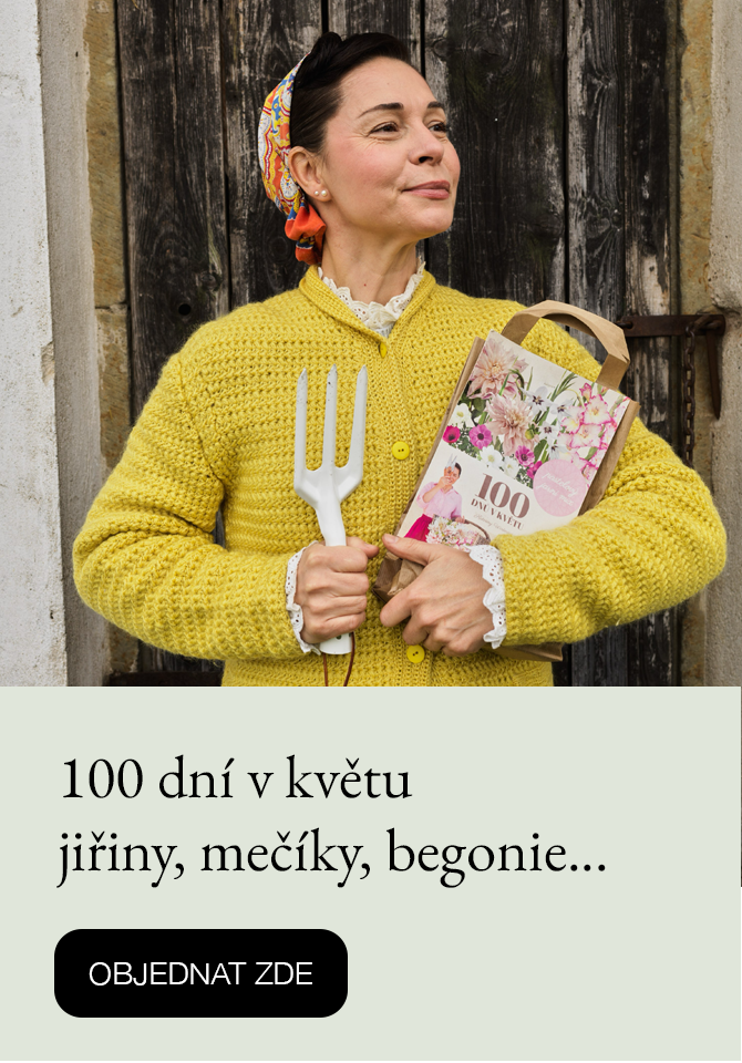 100 dní v květu