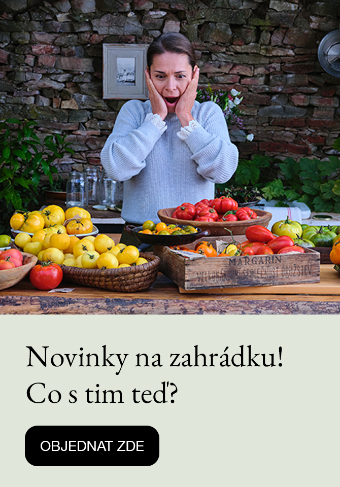 Novinky 2025