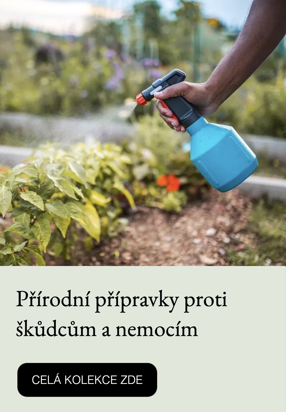Proti skudcum