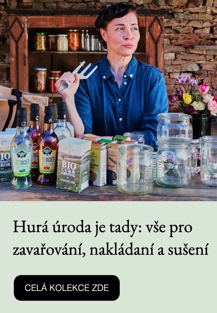 Zavařování