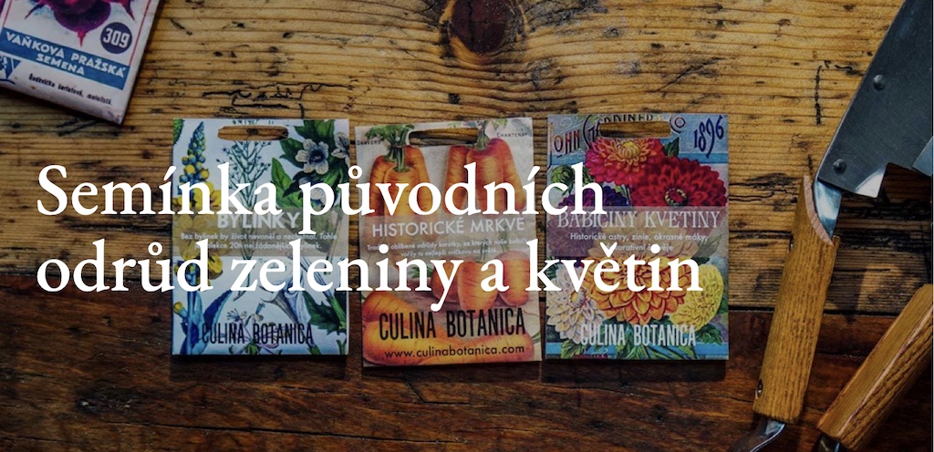 semínka