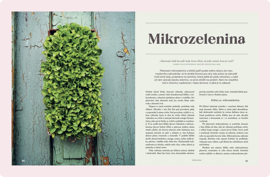 Herbář ze zahrady přímo na talíř 2 – ukázka 05