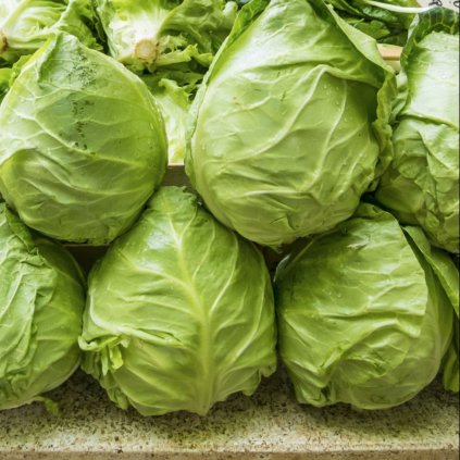 1448 zeli francouzske spicate coeur de boeuf des vertus