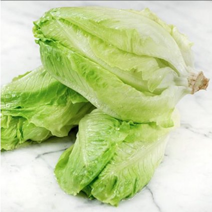 1478 salat rimsky polni little gem