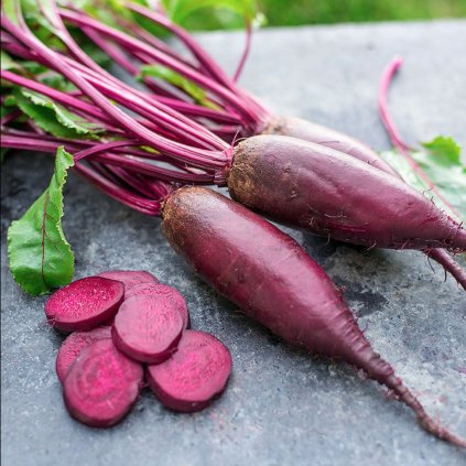 1496 repa cervena salatova forono