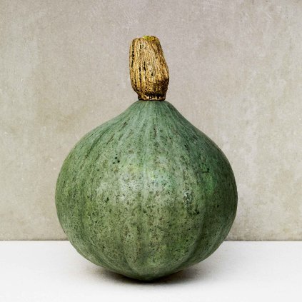 1544 dyne hokkaido blue kuri