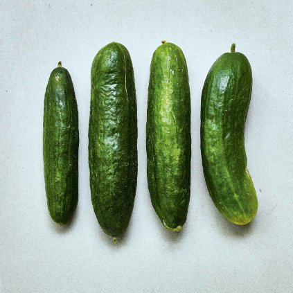 1634 okurka salatova beit alpha