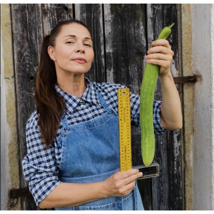 1643 1 screenshot 2025 01 02 at 15 49 09