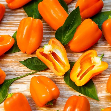 1676 paprika hamik bio