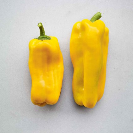 1679 paprika yellow monster