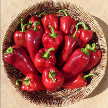 1682 paprika ajvarski bio