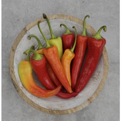 1697 screenshot 2026 01 08 at 21 28 02