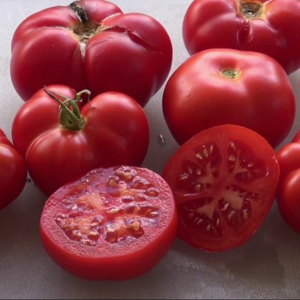 Rajče Homestead Beefsteak