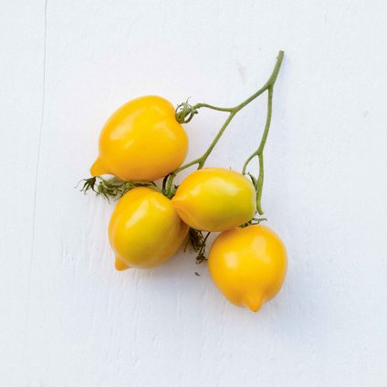 1739 rajce citrina bio