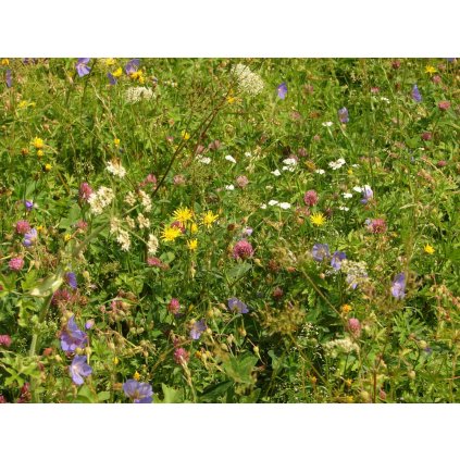 1811 1 zahradni loucka