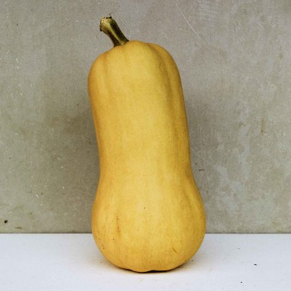 189 dyne maslova waltham