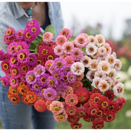 1901 screenshot 2023 11 08 at 21 01 29