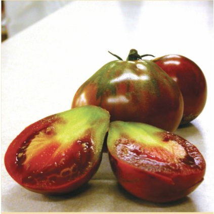 19110 rajce japonska hruska cerna