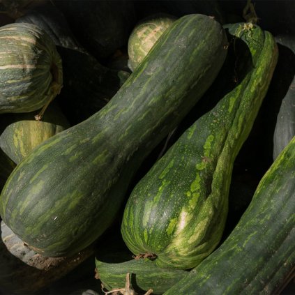 19185 dyne plaine de naples