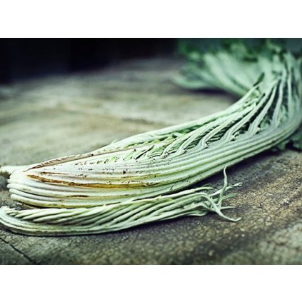 19272 1 artycok kardovy gobbo di nizza