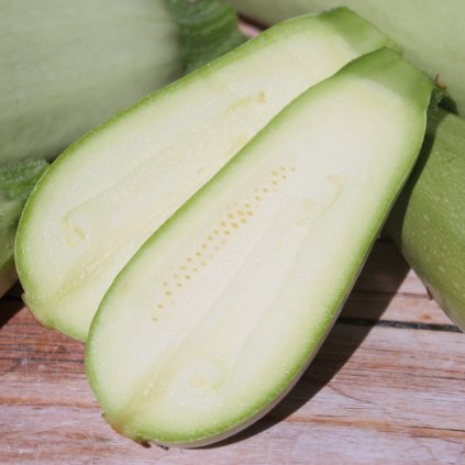 19440 cuketa long white bush