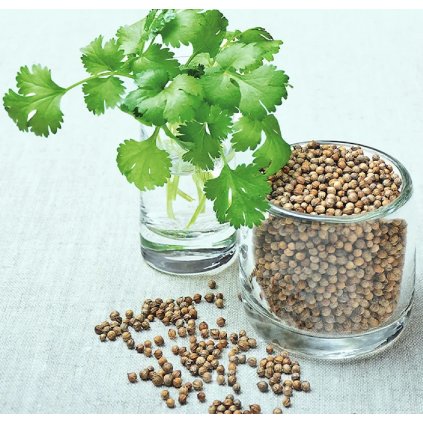 19461 koriandr sety bio