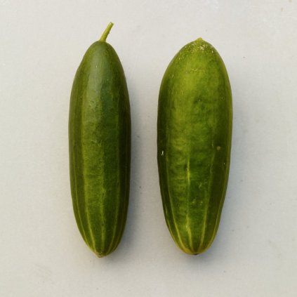 19476 okurka marketmore bio