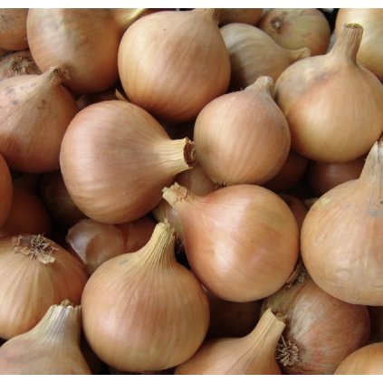 Cibule sazečka Všetana 250g