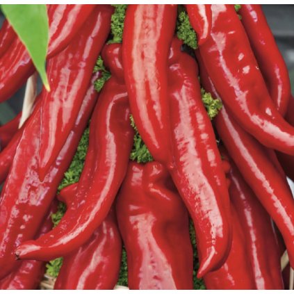 2033 screenshot 2025 01 22 at 13 23 58