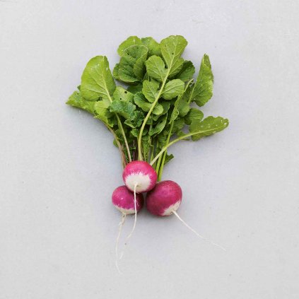 2057 redkvicka sparkler 2