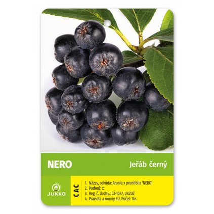 Jeřáb keř aronia - NERO