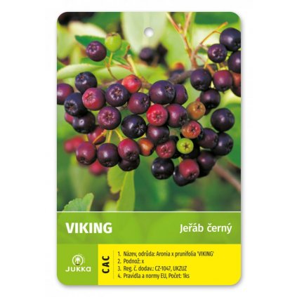 Jeřáb keř aronia - VIKING