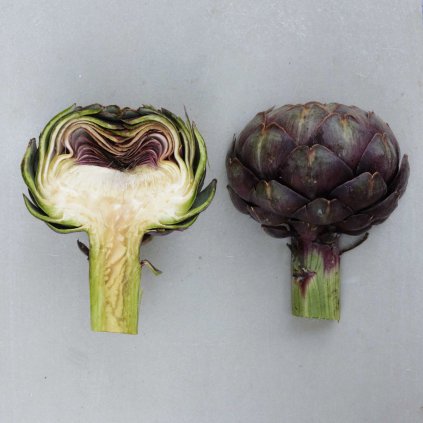 2180 artycok violet de provance