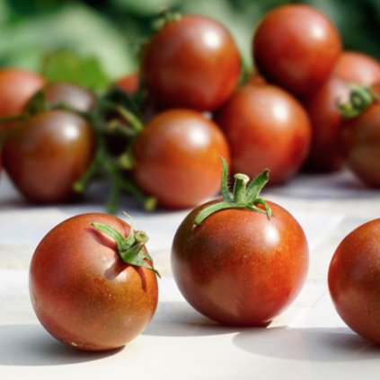 2228 rajce brown berry