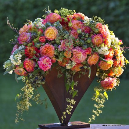 Mnohokvětá růže „Gartenspass“