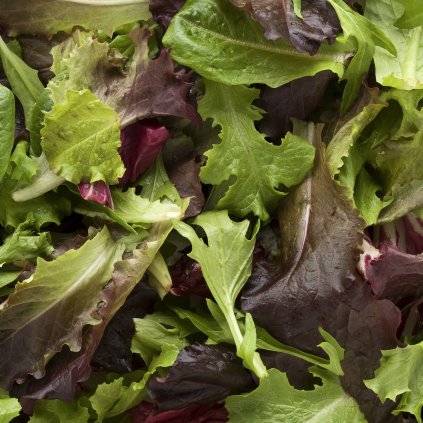 2423 salat smes k rezu