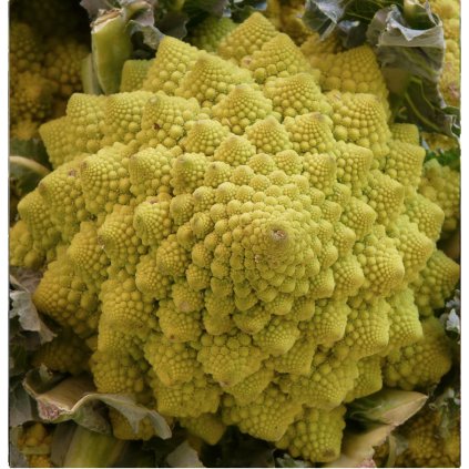 246 kvetak romanesco natalino