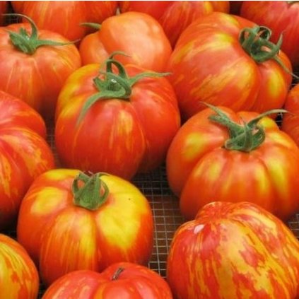 24866 rajce red cavern