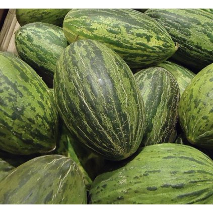 24950 meloun piel de sapo