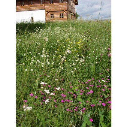 2528 1 slunna stranka 2 768x1024