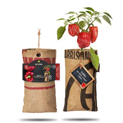 paprika