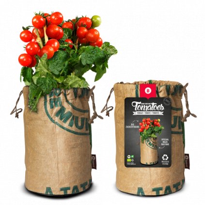 Pěstební sáček s BIO rajčetem Zuckertraube