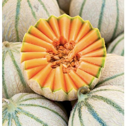 258 screenshot 2024 02 15 at 1 40 01