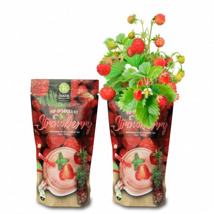 Pop-up zahrádka k předpěstování se semínky lesních jahod