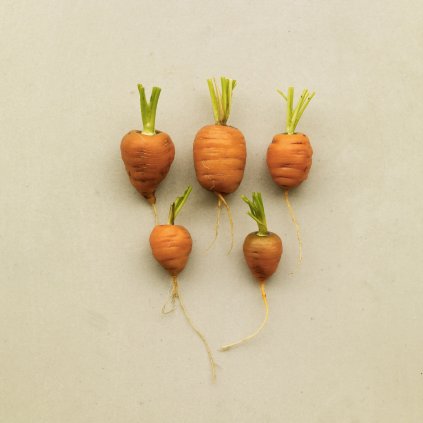 276 mrkev kulata mercado de paris