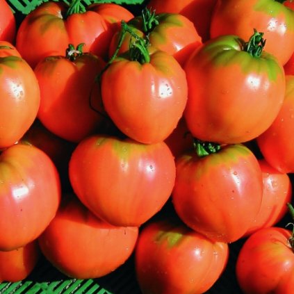 2882 rajce byci srdce oranzove