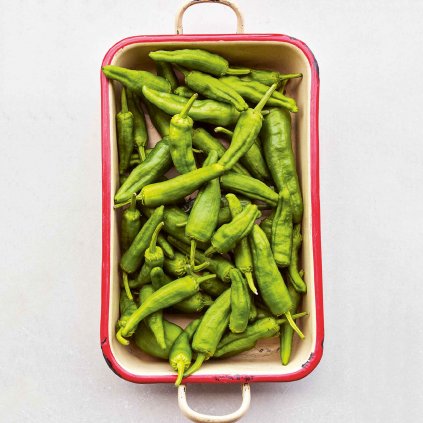 2963 paprika pimientos de padron